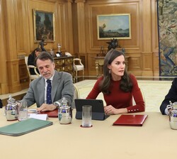 Doña Letizia, durante la audiencia con los presidentes de Atresmedia y de la Fundación Mutua Madrileña