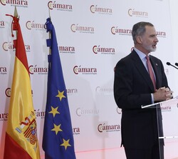 Su Majestad el Rey durante sus palabras en el acto del pleno extraordinario de la Cámara de Comercio, Industria, Servicios y Navegación de España