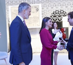 Su Majestad la Reina entrega el Premio Nacional de Investigación para Jóvenes Maria Teresa Toral, en el área de ciencia y tecnología químicas a Guille