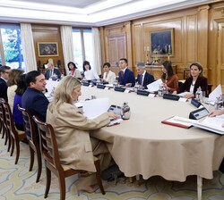 El Rey en la reunión del Consejo de Seguridad Nacional