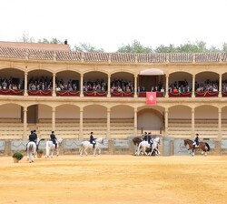 Exhibición de la Escuela de Equitación de la Real Maestranza de Ronda