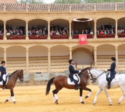 Exhibición de la Escuela de Equitación