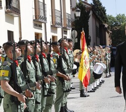 Su Majestad el Rey pasa revista a la fuerza