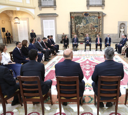 Su Majestad el Rey durante la audiencia al Patronato de la Fundación Consejo España-Brasil