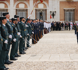Su Majestad el Rey pasa la revista a la fuerza en formación