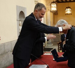 Don Felipe durante la entrega del galardón