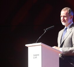 El Rey en su intervención