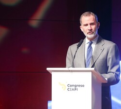 Don Felipe dirige unas palabras a los asistentes al VI Congreso Iberoamericano CEAPI para presidentes de Compañías y familias empresarias