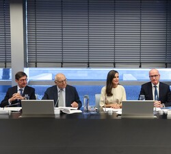 La Reina en la reunión del Patronato de la Fundación FAD Juventud