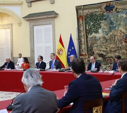El Rey durante la reunión del Patronato del Real Instituto Elcano