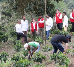 La Reina en un momento de su visita a la plantación