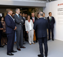 Su Majestad el Rey y Su Majestad el Rey de los Países Bajos durante su recorrido por la sala expositiva "Valle andaluz del hidrógeno verde"
