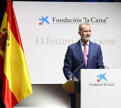 Su Majestad el Rey durante su intervención