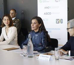 Doña Letizia durante el desarrollo de reunión