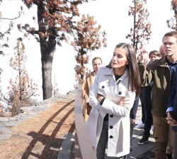 Sus Majestades los Reyes observan desde el mirador de Chipeque la devastación causada por el incendio forestal