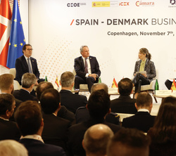 Mesa redonda “Estrategias de cooperación entre Dinamarca y España”
