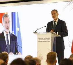 Su Majestad el Rey durante su intervención en el Foro Empresarial España-Dinamarca 
