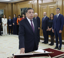 Su Majestad el Rey durante la promesa del ministro de Agricultura, Pesca y Alimentación, Luis Planas Puchades