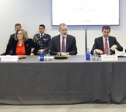 Su Majestad el Rey en la reunión del Patronato de la Fundación CODESPA