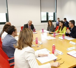 Vista general de la reunión de trabajo que Su Majestad la Reina mantuvo con la Federación de Enfermedades Raras (FEDER)