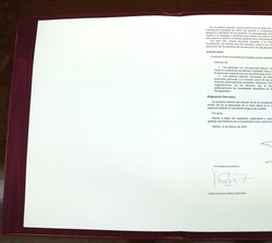 Artículo 49 de la Constitución Española sancionado por Su Majestad el Rey