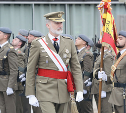 Su Majestad el Rey pasa revista a la fuerza