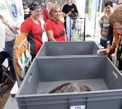 Su Majestad la Reina Doña Sofía junto a las tortugas que van a ser devueltas al mar
