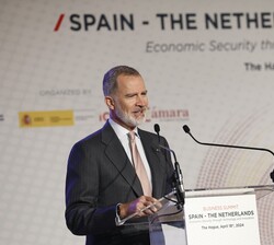 Don Felipe durante sus palabras