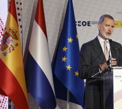 El Rey en su intervención