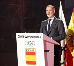 Su Majestad el Rey durante su intervención