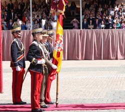 El Rey, frente a la bandera, saluda