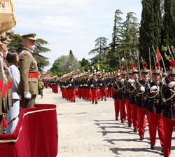 El Rey observa el desfile de la Fuerza
