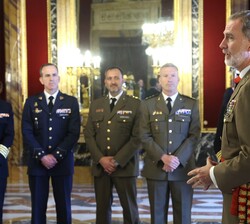 Su Majestad el Rey durante la audiencia a un grupo de Coroneles y Capitanes de Navío