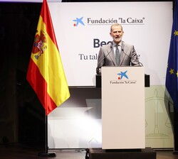 El Rey en su intervención