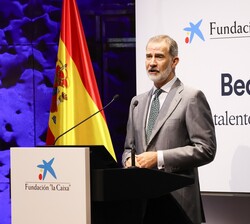 Don Felipe durante sus palabras
