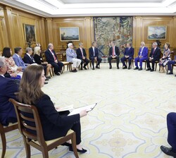 Su Majestad el Rey recibe en audiencia a una representación de los participantes en la reunión internacional de Chief Executives Organization