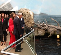 Recorrido de Doña Leonor por el Oceanário de Lisboa
