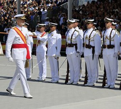 Su Majestad el Rey pasa revista a la Fuerza