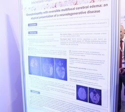Doña Sofía observa los distintos carteles durante su recorrido por la exposición