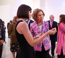 Doña Sofía recibe explicación de uno de los carteles expuestos