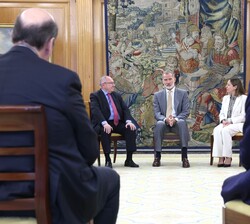 Don Felipe durante la audiencia al Patronato de la Fundación Conexión España