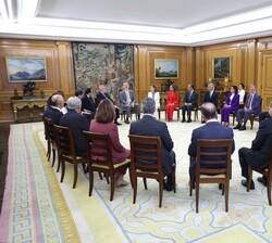 Su Majestad el Rey recibe en audiencia al Patronato de la Fundación Conexión España