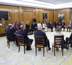 Audiencia del Rey al Patronato de la Fundación Conexión España