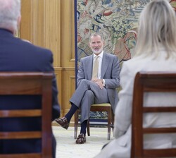 El Rey durante la Aadiencia del Rey al Patronato de la Fundación Conexión España