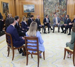 El Rey recibe en audiencia a la comisión ejecutiva corporativa de CBRE España
