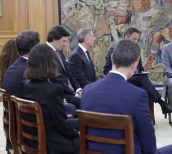 Don Felipe en la audiencia a los integrantes de la comisión ejecutiva corporativa de CBRE España