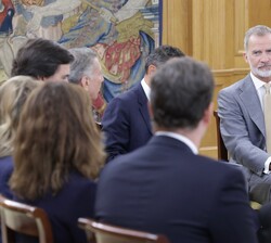 Don Felipe durante la audiencia a la comisión ejecutiva corporativa de CBRE España, con motivo de su 50 aniversario en España