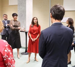 Doña Letizia conversa con los investigadores españoles