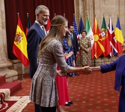 La Princesa de Asturias entrega la insignia a los galardonados