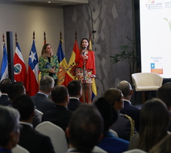Presentación de la Mesa Redonda "La Tarjeta Iberoamericana de Discapacidad"